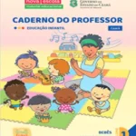 Bebês – Brincadeiras e Atividades Vol 1 e 2